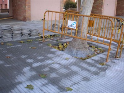 Imatge_cat_10795.JPG.