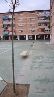Fotografia de la plantació d'arbrat a les places interiors dels Blocs Joan Carles.
