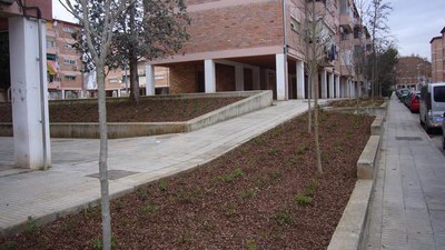 Fotografia de l'actuació al carrer Valladolid.