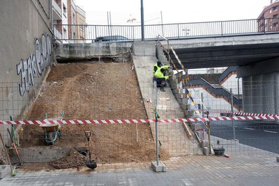 Imatge_cat_10875.JPG.