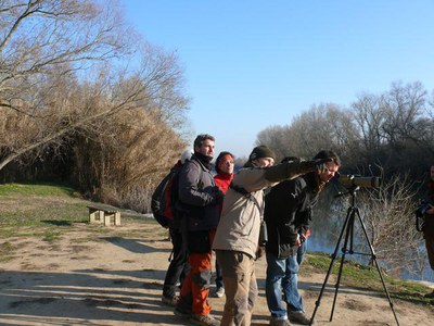 El cens ha estat dirigit per l'expert en ornitologia Steve West.