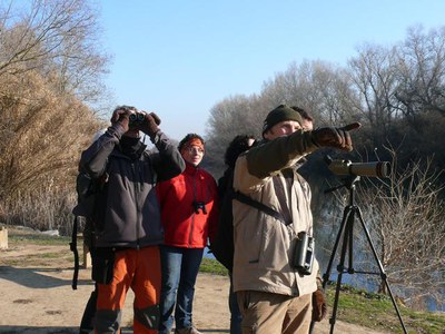 Hi han participat una desena de persones.
