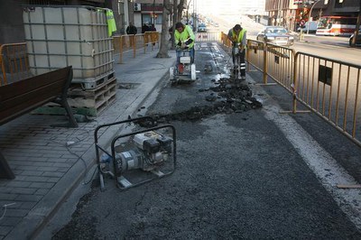 Foto 2. En dos anys s’hauran col·locat una trentena de plataformes, responent al compromís del Pacte Social per a la Ciutadania.