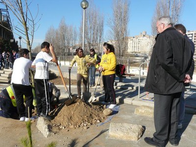 Foto 2. El regidor Josep Barbarà ha explicat que aquesta actuació s'inclou en el programa de l'Agenda 21 Escolar, dirigit als centres educatius de la….