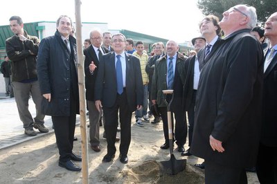 2. Les autoritats han plantat un til·ler al pati de l'Escola..