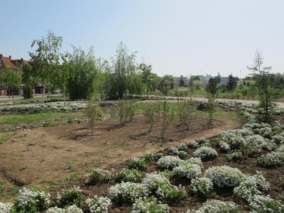 <bound method DexterityContent.Title of <NewsItem at /fs-paeria/paeria/ca/actualitat/noticies/13148>>.