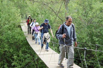 Fotografia d'una sortida de senderisme, organitzada per l'Àrea de Gent Gran de la Paeria.
