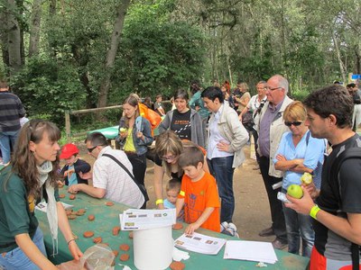 Foto 4. Més de 3.000 persones han participat aquest diumenge al matí de la celebració del Dia Mundial del Medi Ambient a Lleida.