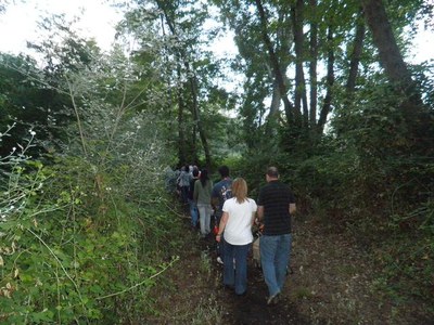 Durant el recorregut, es van poder veure alguns dels animals de la nit, com les cuques de llum o el muricec.