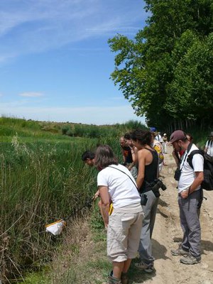 <bound method DexterityContent.Title of <NewsItem at /fs-paeria/paeria/ca/actualitat/noticies/13527>>.