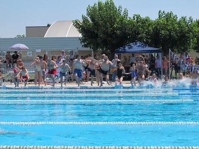 Foto 2. Mulla’t per l’esclerosi múltiple ha recaptat més de 3.500 euros a les piscines municipals de Lleida en la divuitena edició d’aquesta campanya.