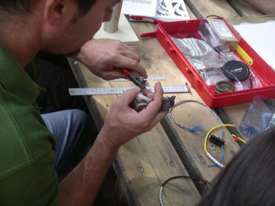 <bound method DexterityContent.Title of <NewsItem at /fs-paeria/paeria/ca/actualitat/noticies/13631>>.