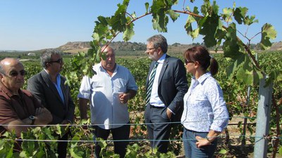 <bound method DexterityContent.Title of <NewsItem at /fs-paeria/paeria/ca/actualitat/noticies/14016>>.