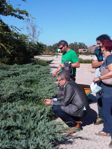 L'Arboretum permet conéixer de prop diversitat d'espècies i tipus d'arbres.