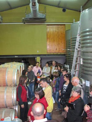 Foto 2. En aquest celler s'han visitat les vinyes i també la sala condicionada per a la criança en barriques.