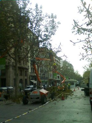 Imatge_cat_13584.JPG.