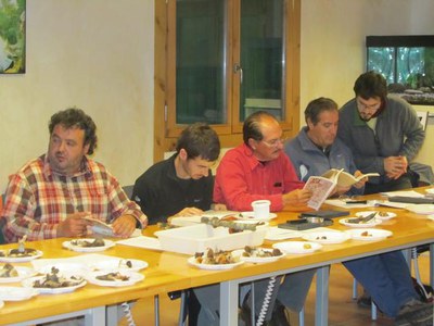 Foto 2. Les guies de camp han servit d'ajuda per identificar algunes espècies recollides al bosc de La Mitjna i de Prades.