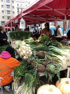 Imatge_cat_14354.JPG.