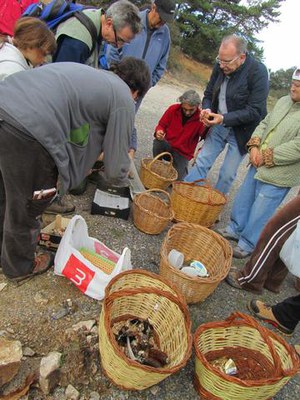 Foto 2. El Centre d'Interpretació de la Mitjana va acollir al novembre una exposició de les espècies recollides al curs “És temps de bolets!”.