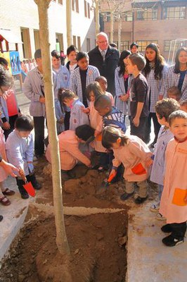 Fotografia de la plantada d'arbres 2.