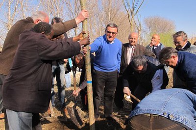 Foto 3. Enguany s'han plantat sis arbres.
