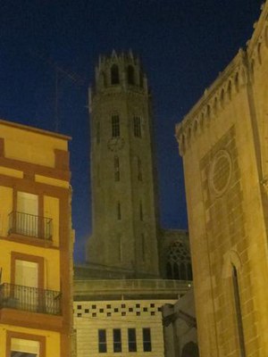 Foto 2. La Seu Vella ha tancat les llums a les 21 h..