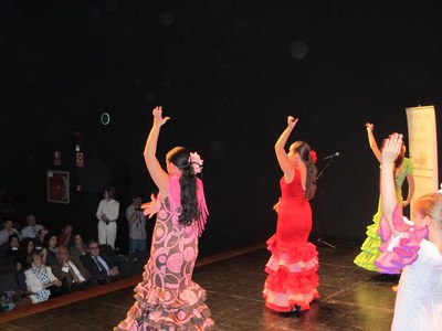 Foto 3. Druant l'espectacle s'han pogut veure les actuacions del grup Sardanista Montserrat i del grup de ball Granados.