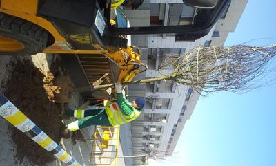 <bound method DexterityContent.Title of <NewsItem at /fs-paeria/paeria/ca/actualitat/noticies/15150>>.