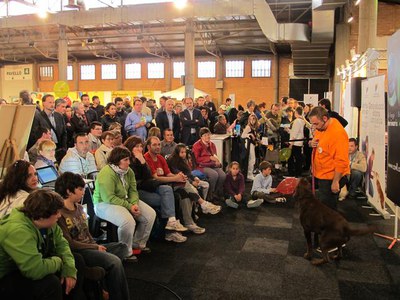 Foto 3. El Col·legi de Veterinaris de Lleida ha fet tallers i activitats adreçades a conscienciar els propietaris de mascotes sobre la necessitat de ….