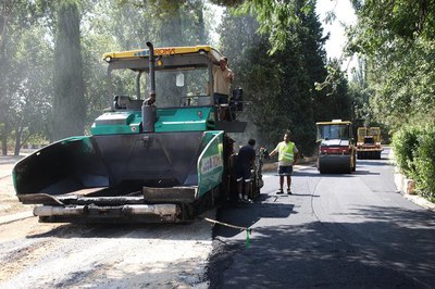 Imatge_cat_16095.JPG.