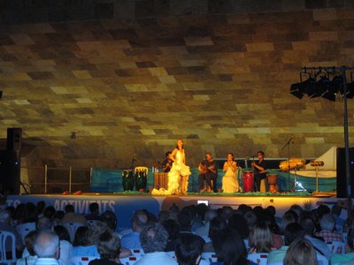 Foto 2. El CAD ha ofert l’espectacle “Jo ballo, i tu?”.