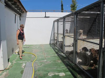 <bound method DexterityContent.Title of <NewsItem at /fs-paeria/paeria/ca/actualitat/noticies/16029>>.