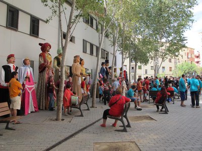 Foto 4. Trobada de Gegants.