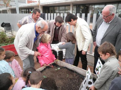 El projecte pretén recuperar les varietats tradicionals de verdures i hortalisses de l'Horta de Lleida.