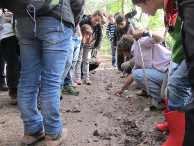 <bound method DexterityContent.Title of <NewsItem at /fs-paeria/paeria/ca/actualitat/noticies/16412>>.