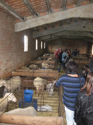 Foto 2. Aquesta és una activitat que organitza l'Ajuntament de Lleida.
