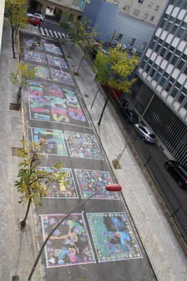 Imatge_cat_17155.jpg.