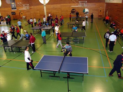 Foto 2. Aquest dissabte han participat en el campionat 142 esportistes.