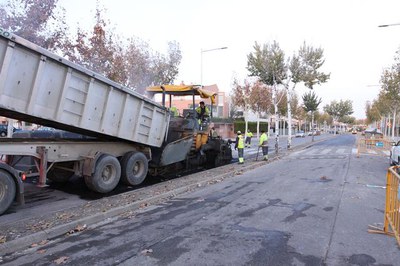 Imatge_cat_17430.jpg.