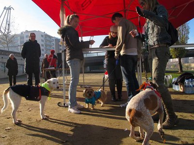 <bound method DexterityContent.Title of <NewsItem at /fs-paeria/paeria/ca/actualitat/noticies/16767>>.