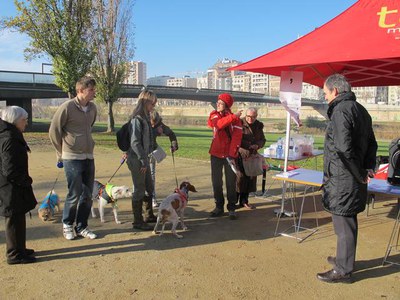 Foto 2. Els voluntaris joves de Lleida han promogut la 1a Caninada Solidària.