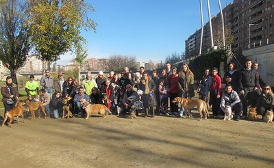 Foto 3. En total han fet la passejada 30 gossos.