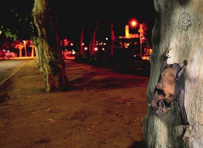 <bound method DexterityContent.Title of <NewsItem at /fs-paeria/paeria/ca/actualitat/noticies/16868>>.