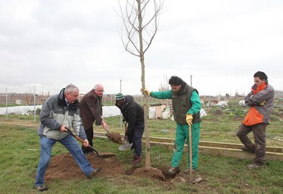 El regidor de Medi Ambient i Horta, Josep Barberà, ha participat en la plantada d'arbres.
