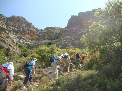 <bound method DexterityContent.Title of <NewsItem at /fs-paeria/paeria/ca/actualitat/noticies/17263>>.