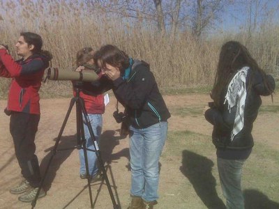 El curs permet aprendre a identificar i a conèixer els ocells més comuns de la plana de Lleida.