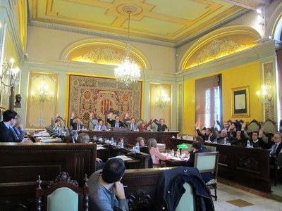 Una cinquantena d'escolars del Mater Salvatoris de Lleida han assistit a la sessió plenària, aprofitant la seva visita a la Paeria.