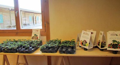 <bound method DexterityContent.Title of <NewsItem at /fs-paeria/paeria/ca/actualitat/noticies/17502>>.