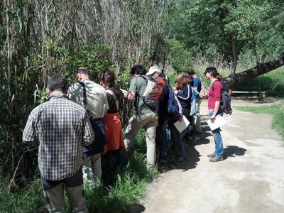 La Mitjana és un lloc excepcional per a l’estudi de la vegetació de les zones humides.