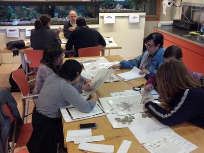 La Regidoria de Medi Ambient ha fet un taller a La Mitjana per aprendre a identificar les plantes de bosc de ribera.